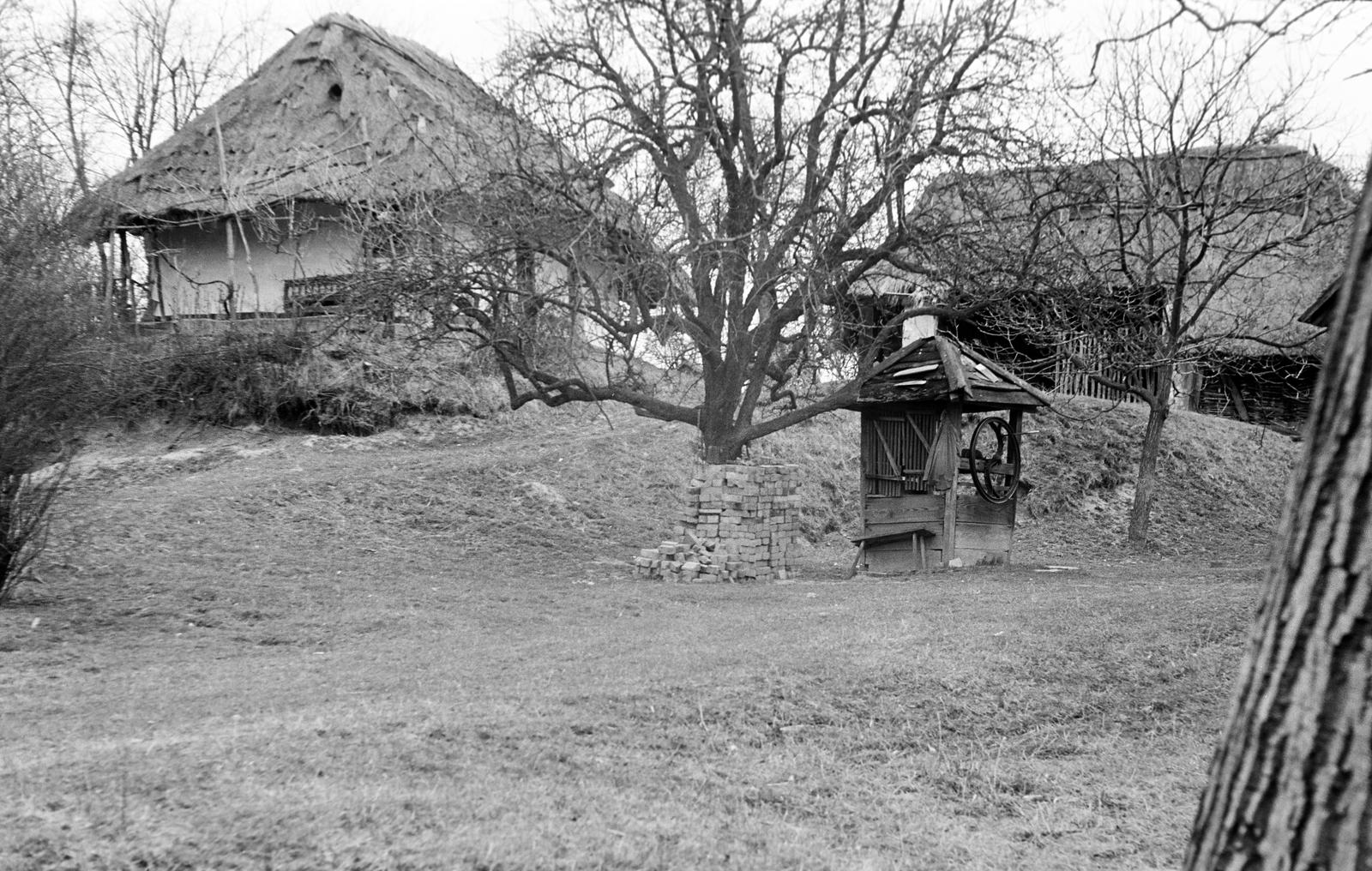 Hungary, 1961, Gazda Anikó, Fortepan #307264