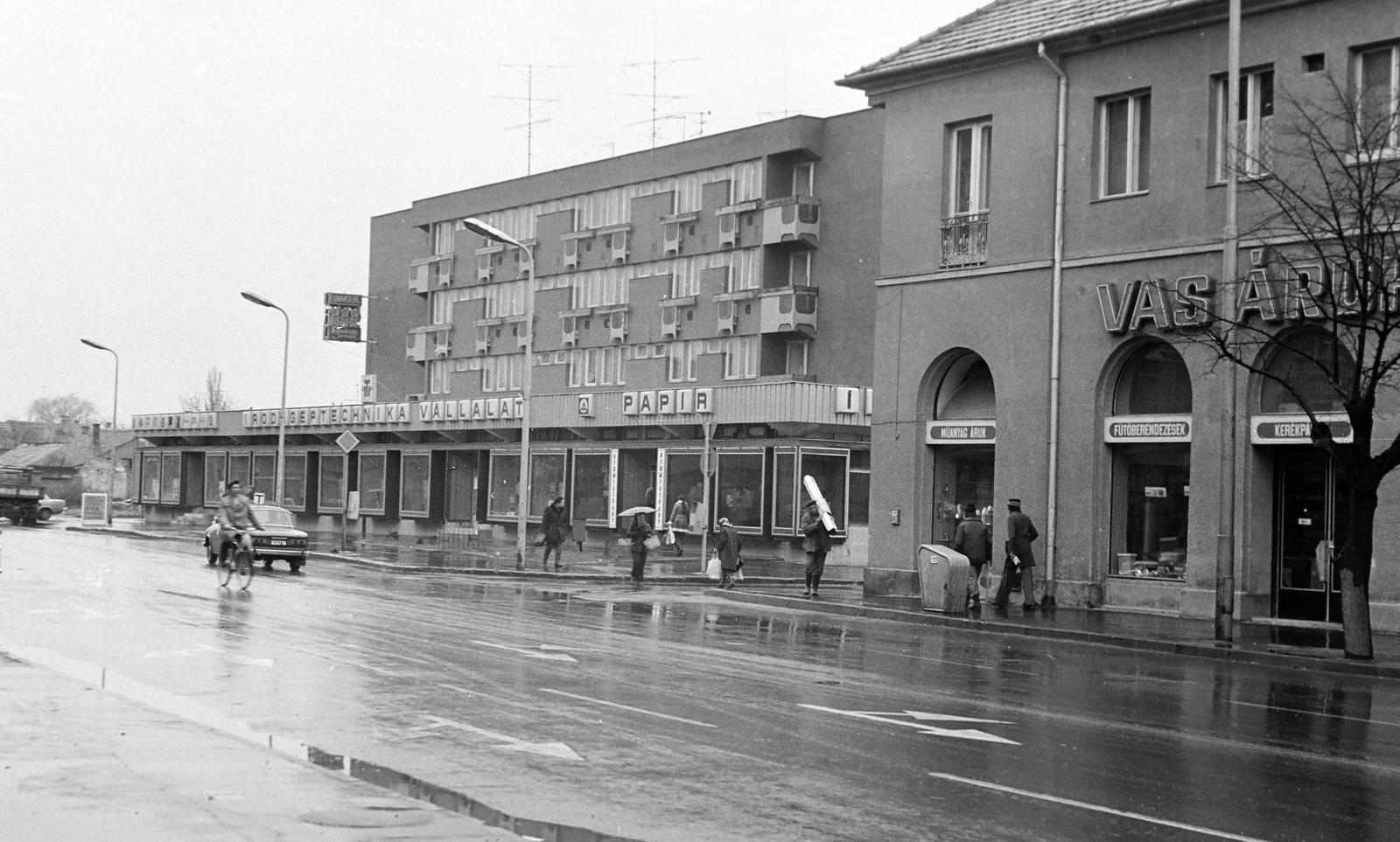 Hungary, 1977, Gazda Anikó, Fortepan #307268
