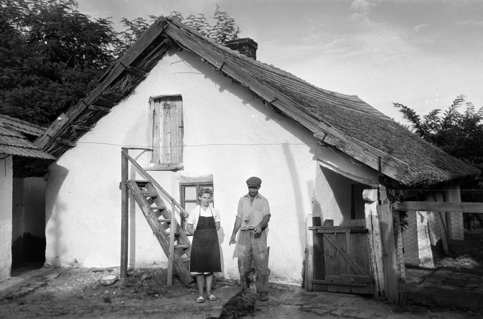 Magyarország, 1967, Gazda Anikó, Best of, udvar, parasztház, nádtető, emberpár, kutya, Fortepan #307296
