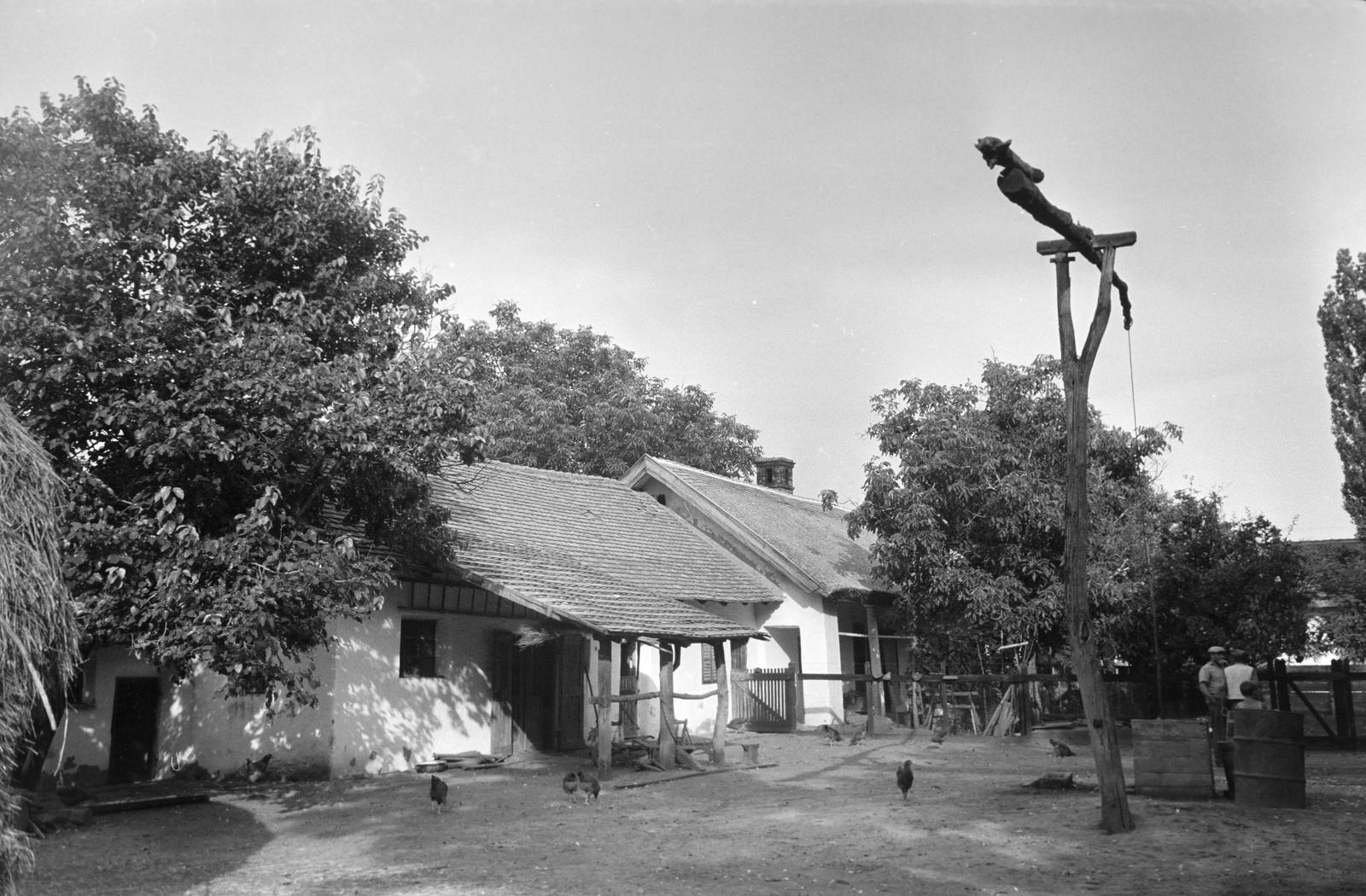 Magyarország, 1963, Gazda Anikó, népi építészet, baromfi, udvar, gémeskút, Fortepan #307308