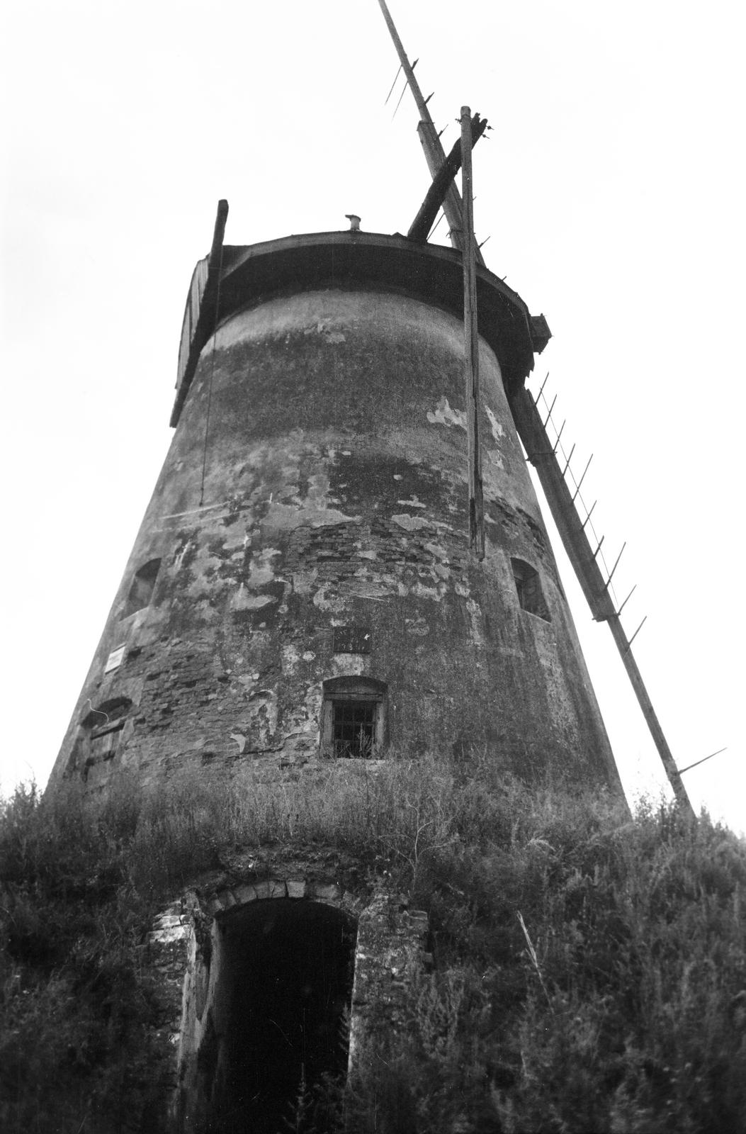 Hungary, 1963, Gazda Anikó, Fortepan #307309
