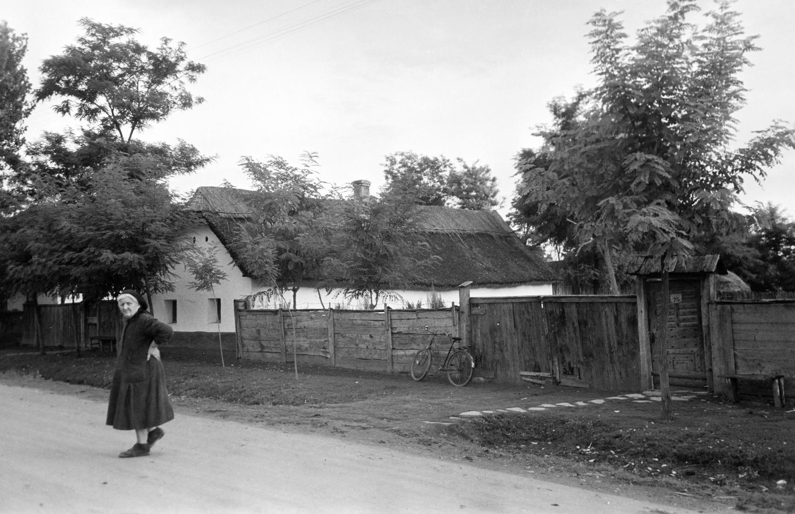 Magyarország, 1963, Gazda Anikó, Fortepan #307316
