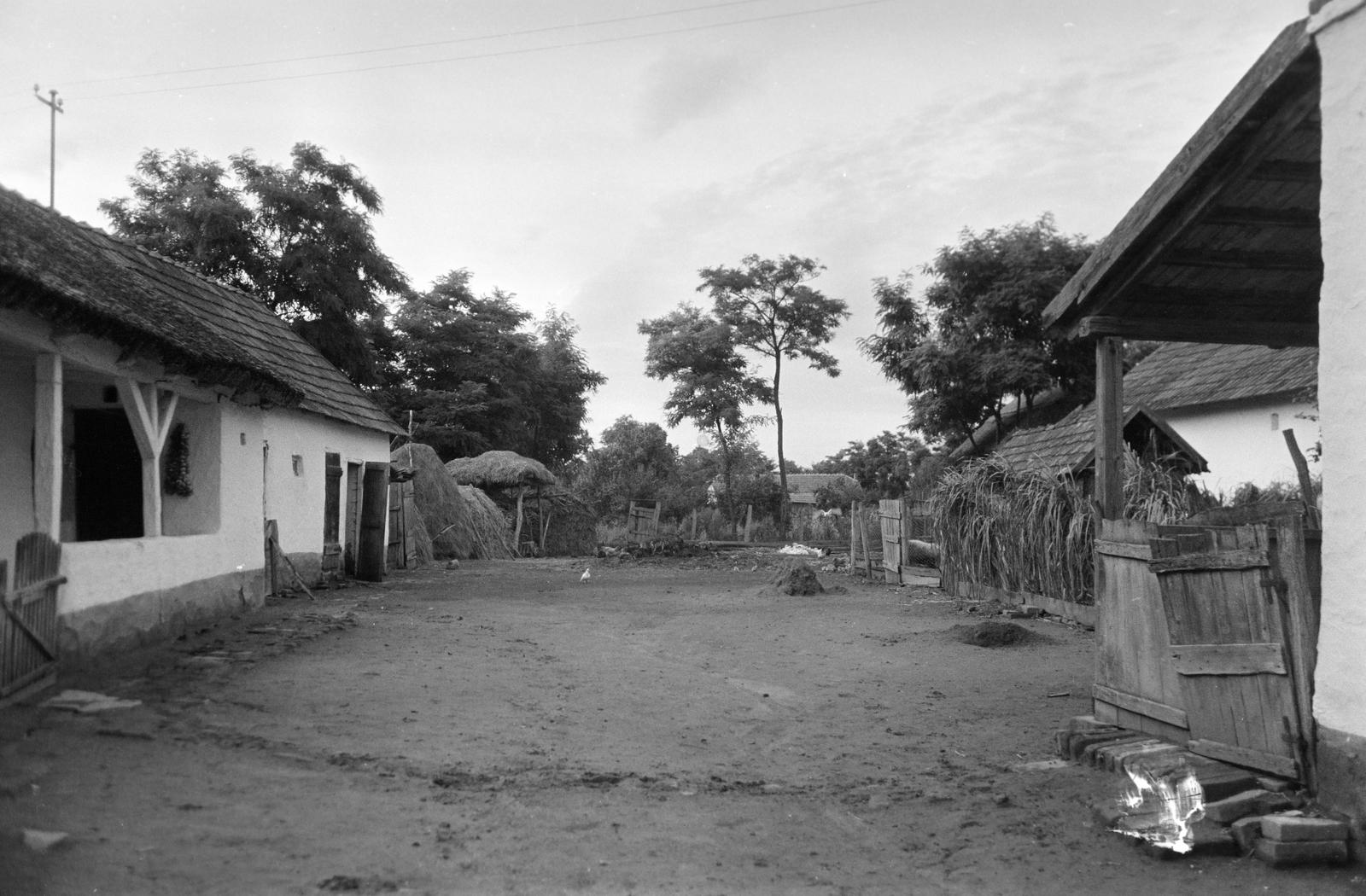 Magyarország, 1963, Gazda Anikó, falu, udvar, lakóház, Fortepan #307318