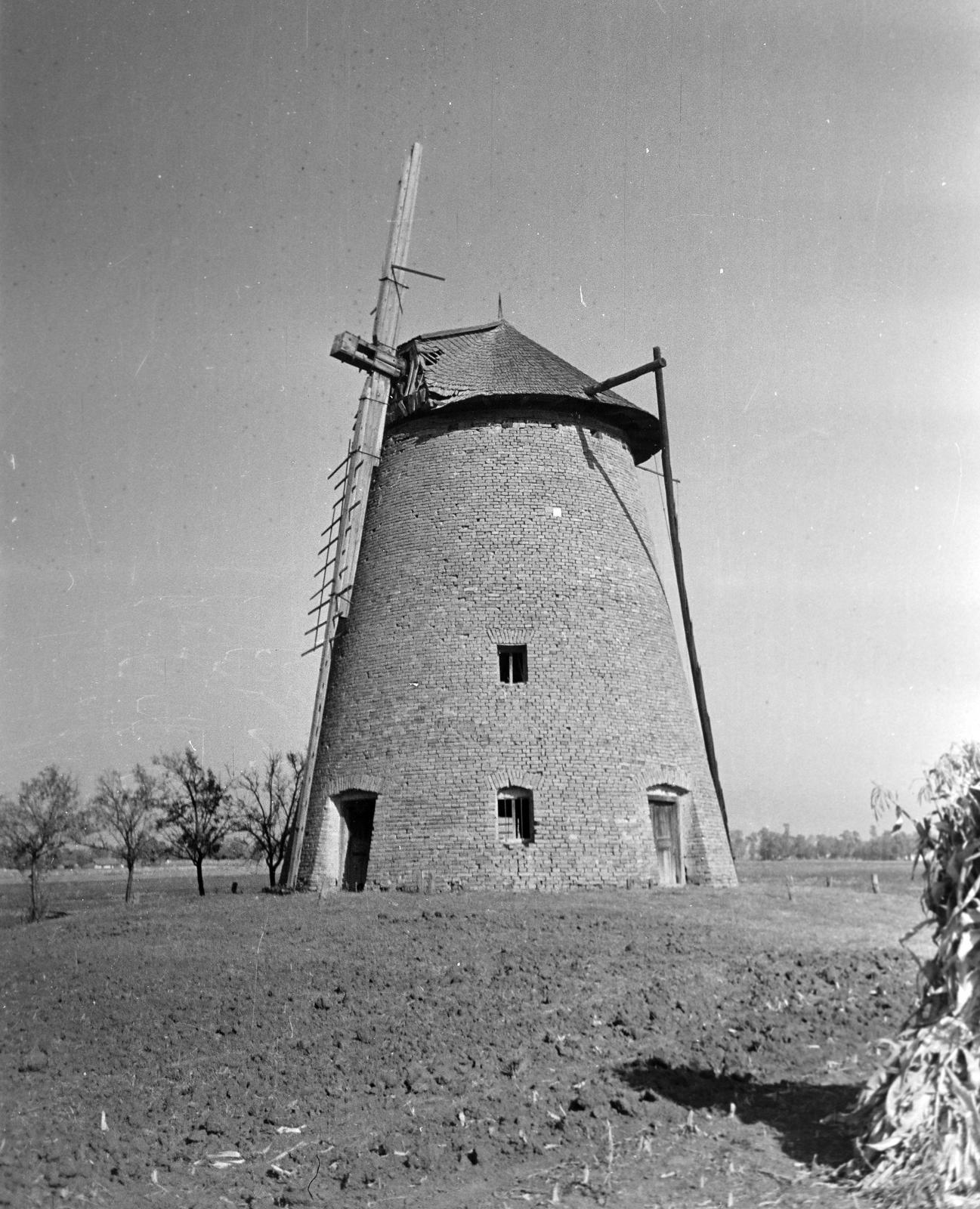 Magyarország, 1963, Gazda Anikó, Fortepan #307320