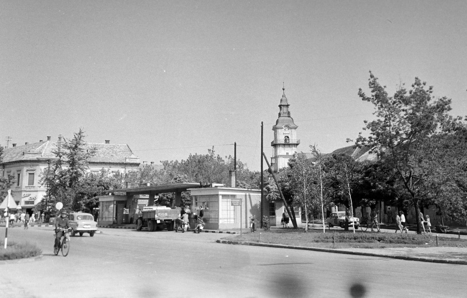 Hungary, 1965, Gazda Anikó, Fortepan #307326