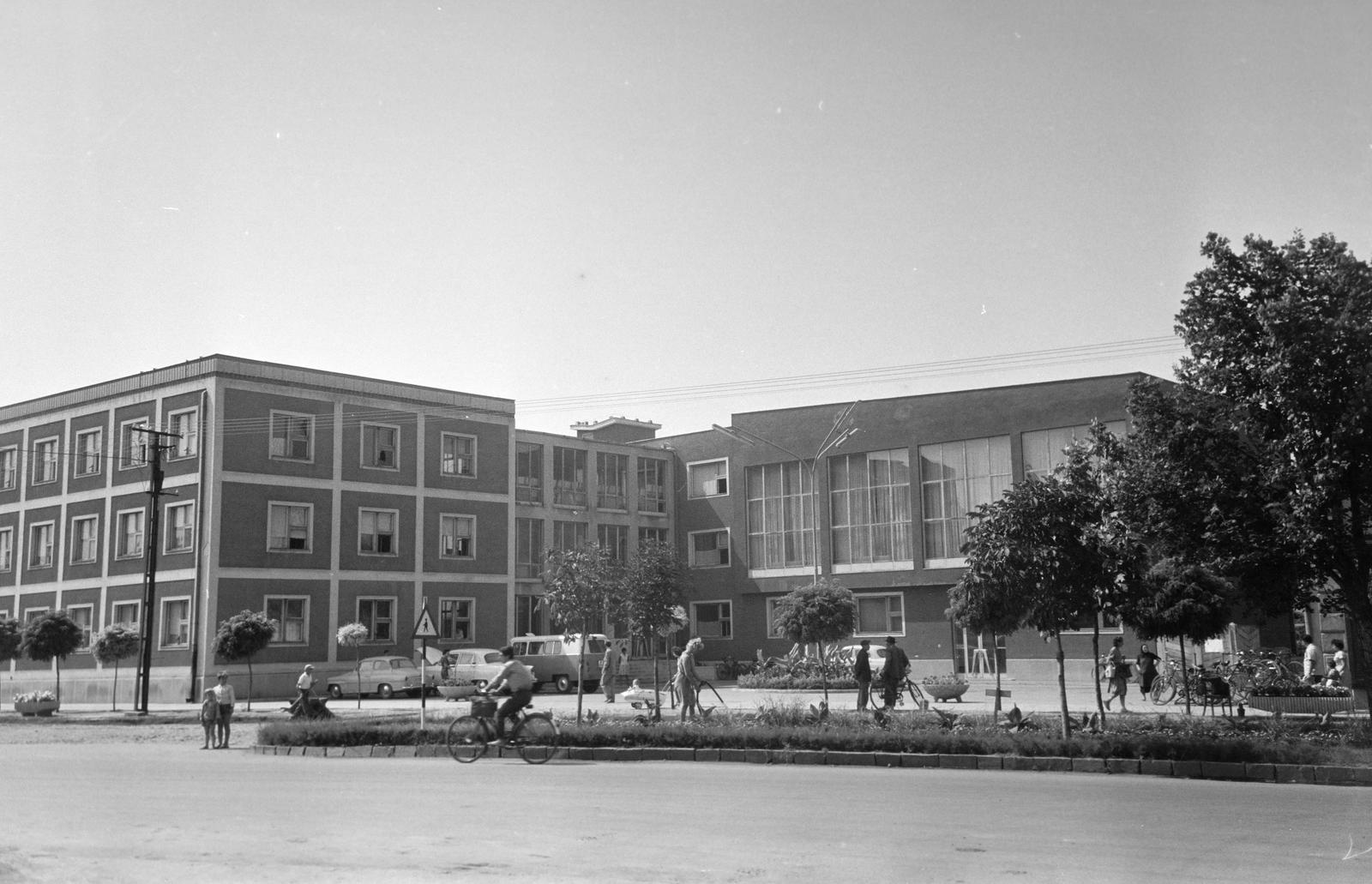 Hungary, 1965, Gazda Anikó, Fortepan #307327