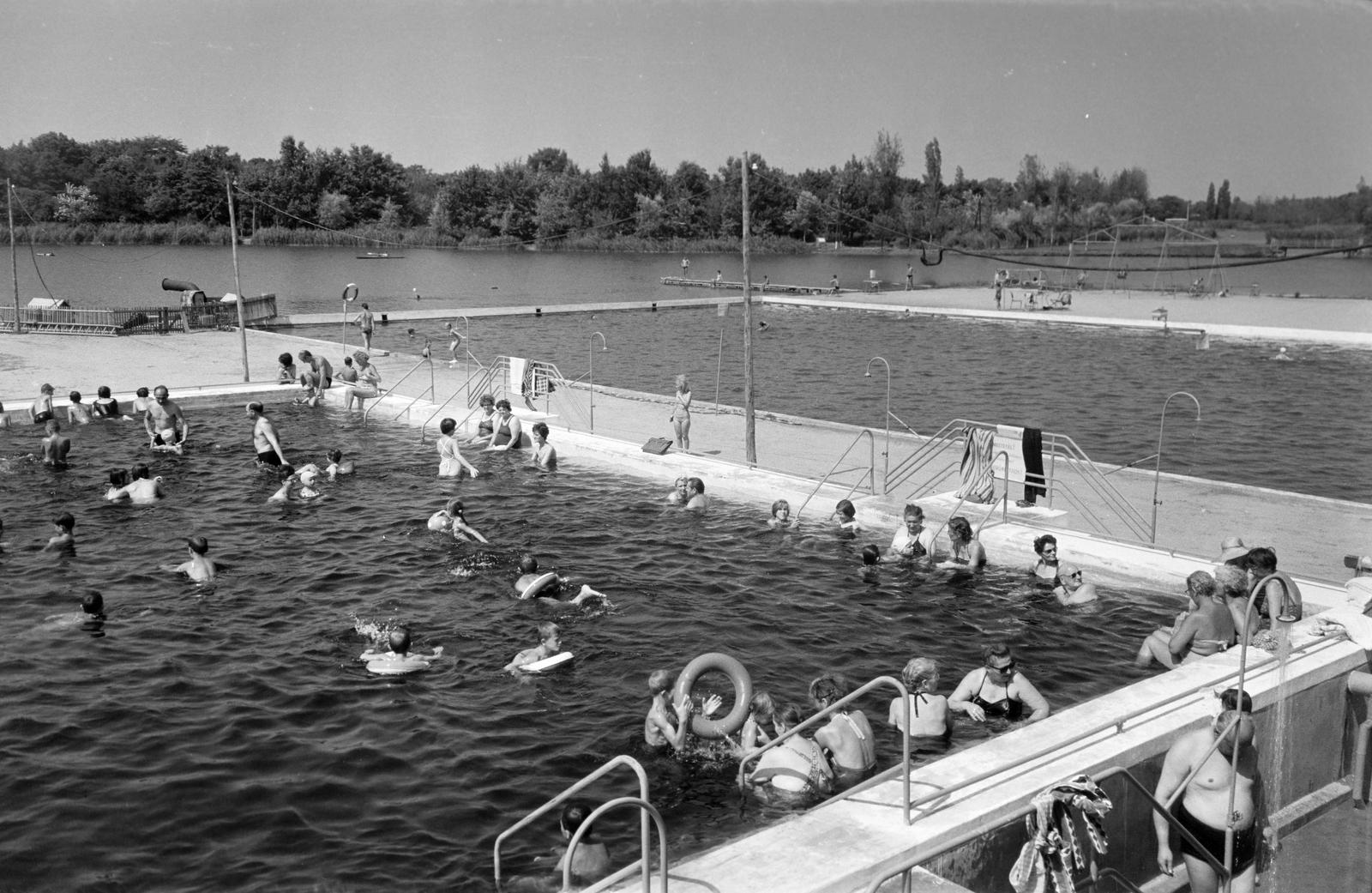 Hungary, 1965, Gazda Anikó, Fortepan #307328