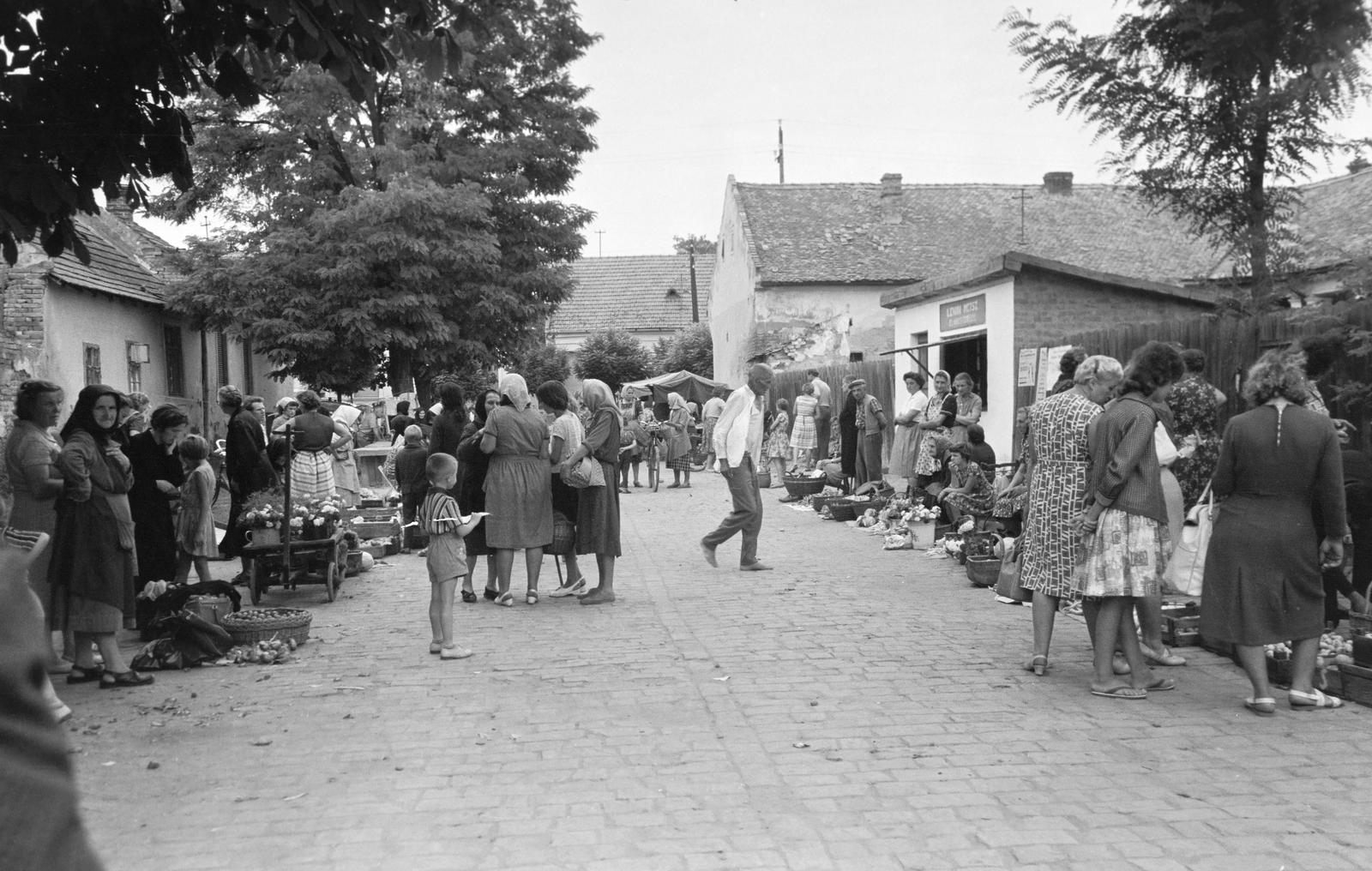Hungary, 1965, Gazda Anikó, Fortepan #307332