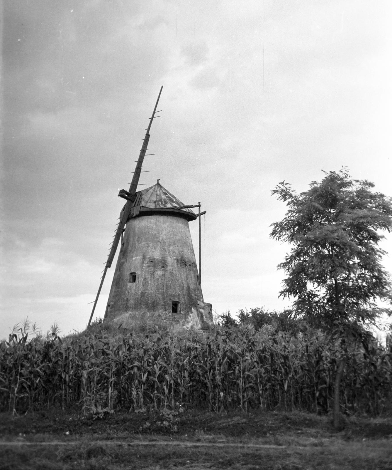 Hungary, 1965, Gazda Anikó, windmill, Fortepan #307337