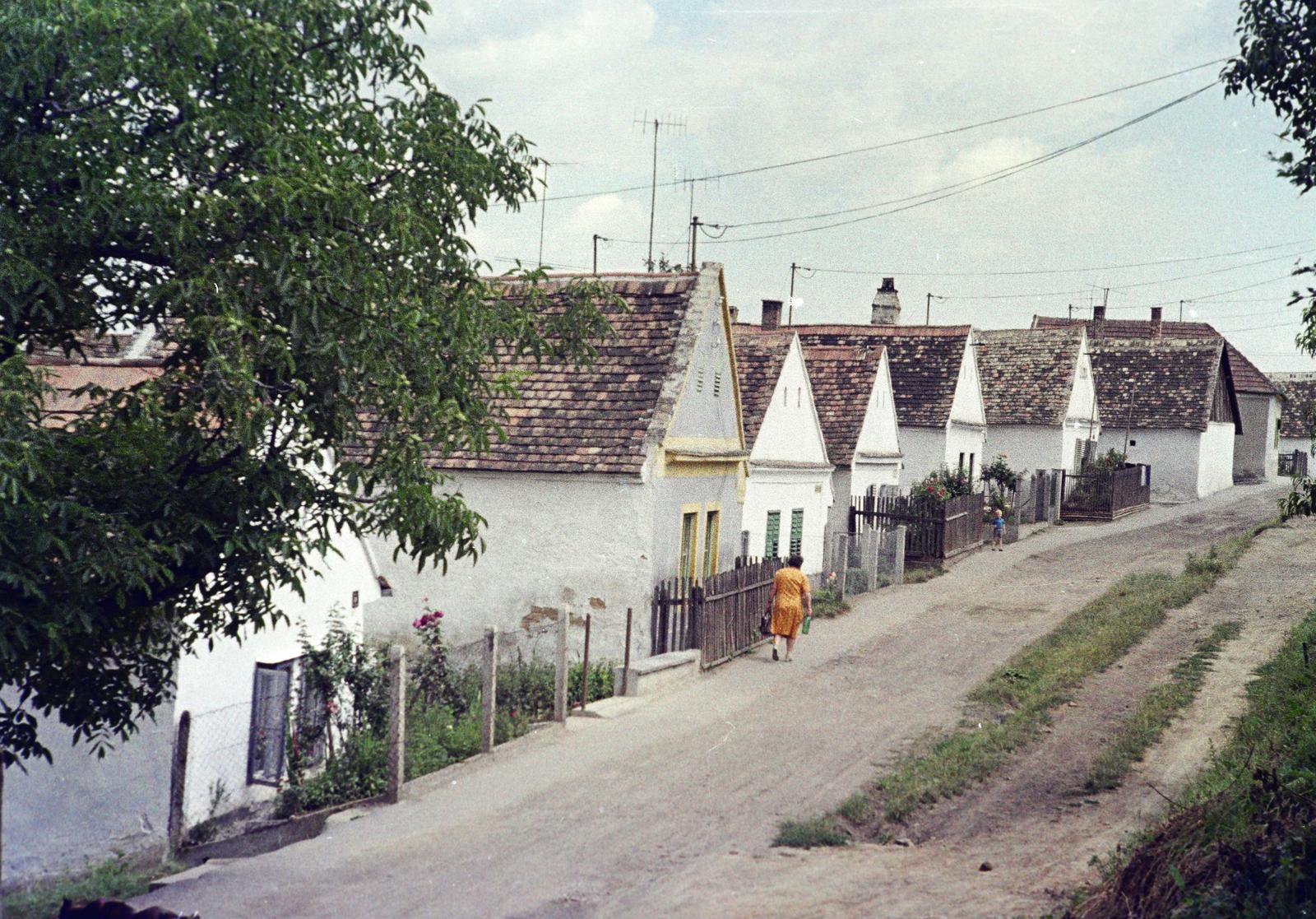 Hungary, untitled, Hegy utca., 1968, Gazda Anikó, Fortepan #307344