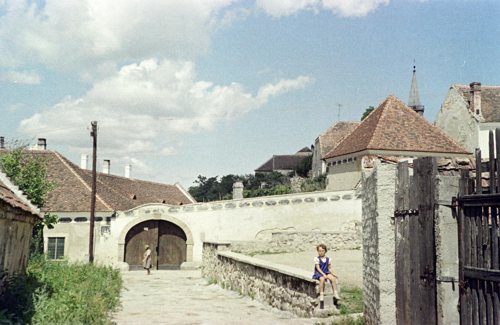 Hungary, 1968, Gazda Anikó, Fortepan #307353