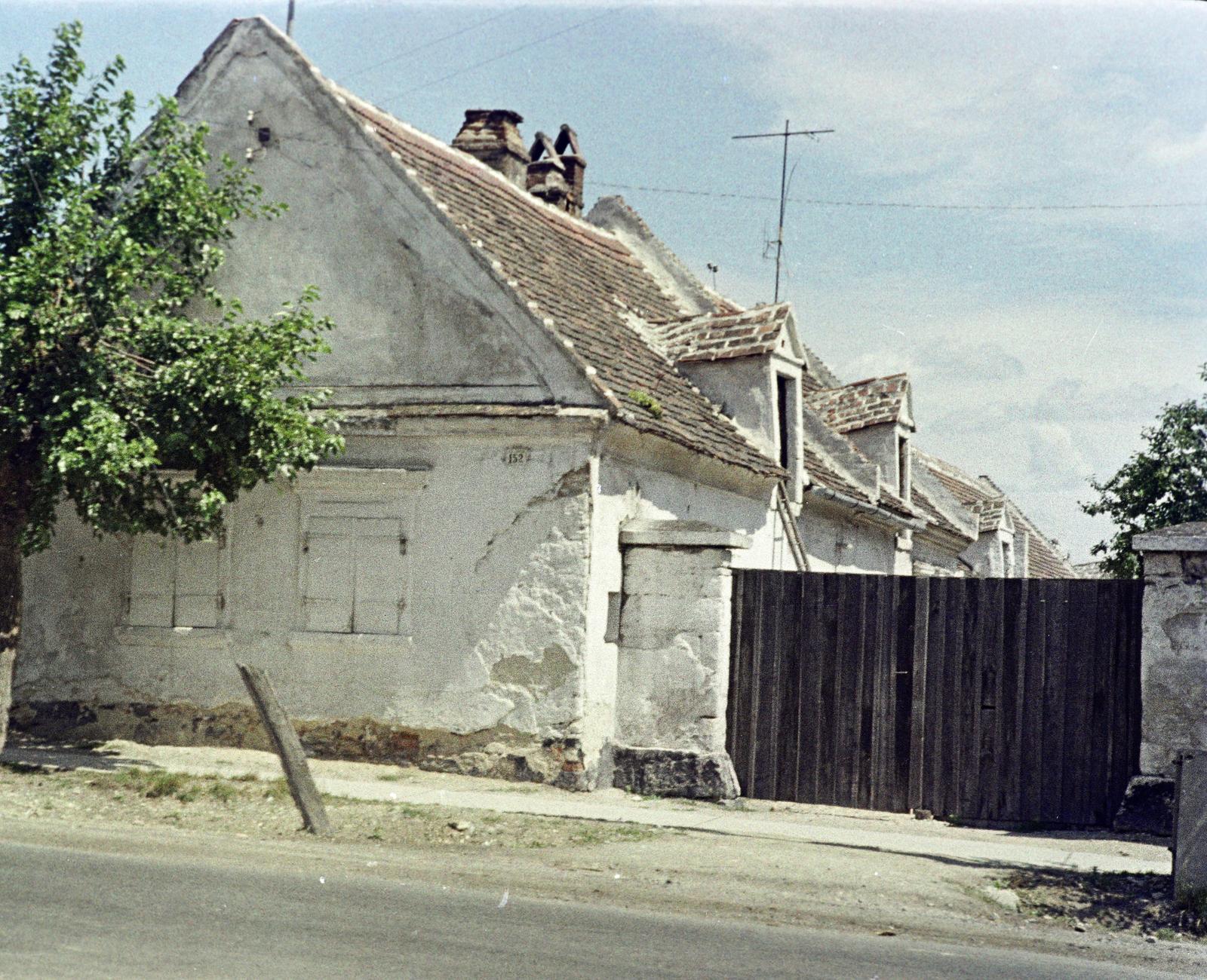 Hungary, 1968, Gazda Anikó, Best of, Fortepan #307354