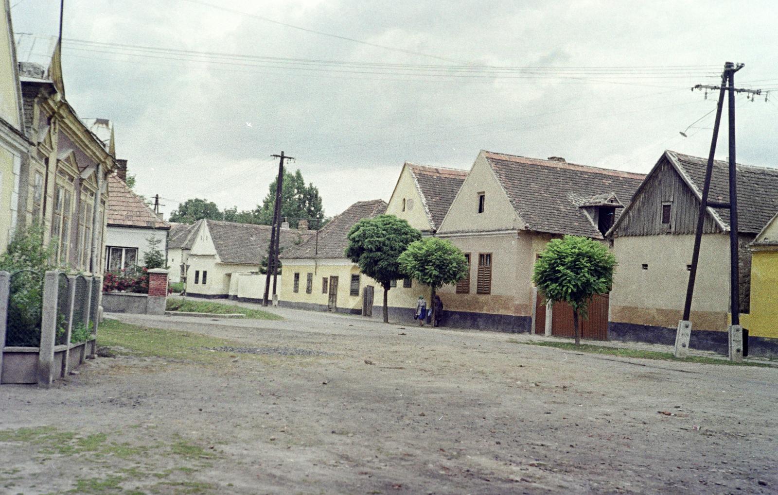 Hungary, 1968, Gazda Anikó, Fortepan #307358