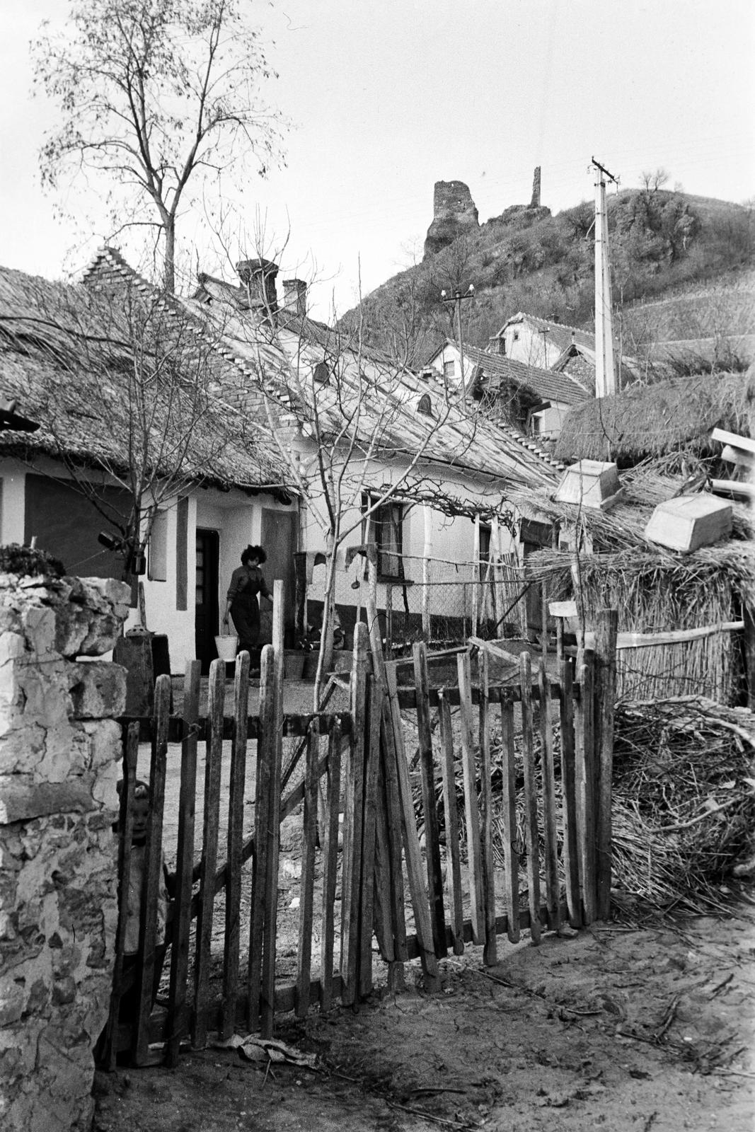 Magyarország, 1966, Gazda Anikó, Fortepan #307364