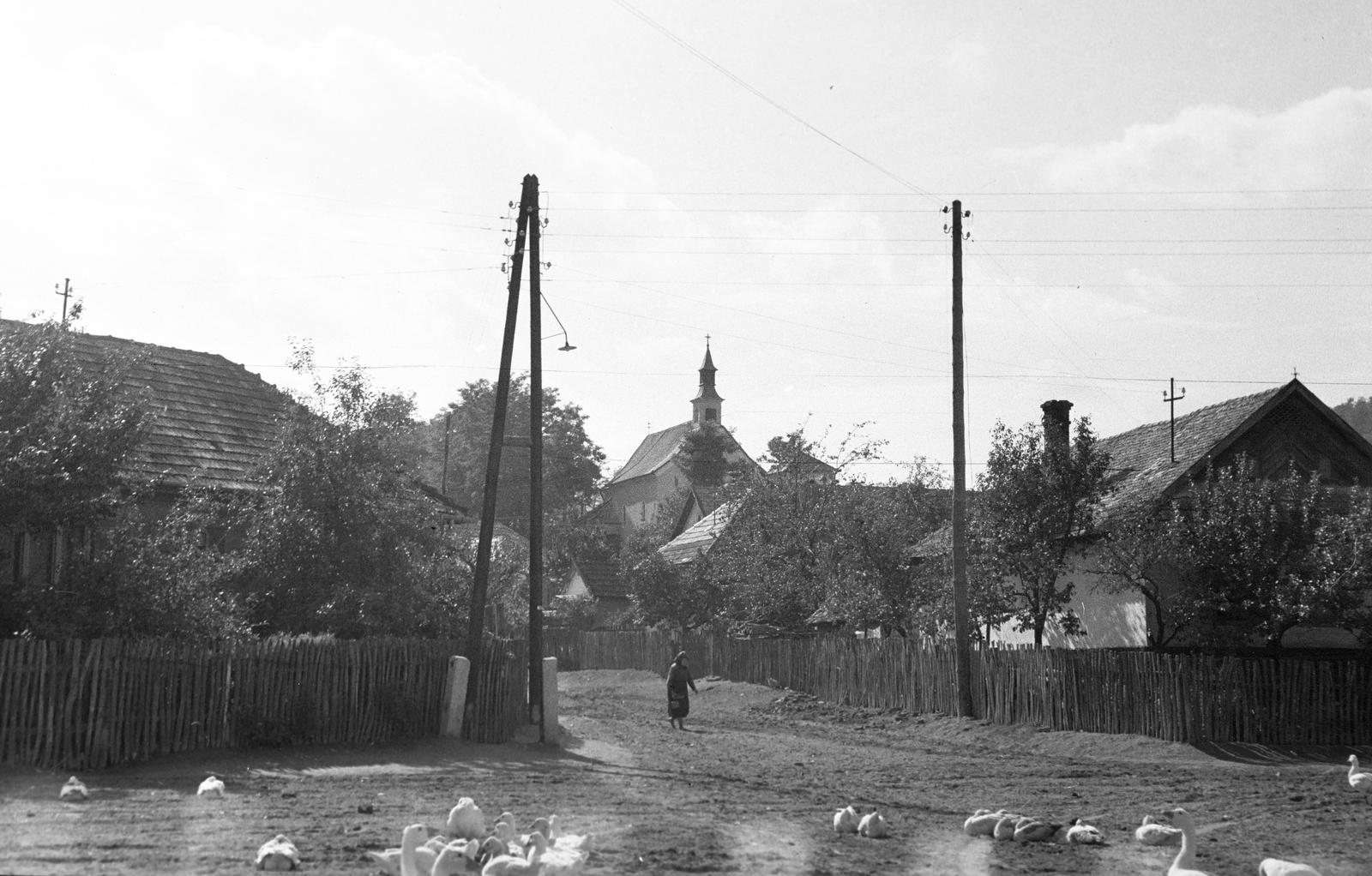 Magyarország, 1960, Gazda Anikó, Fortepan #307374