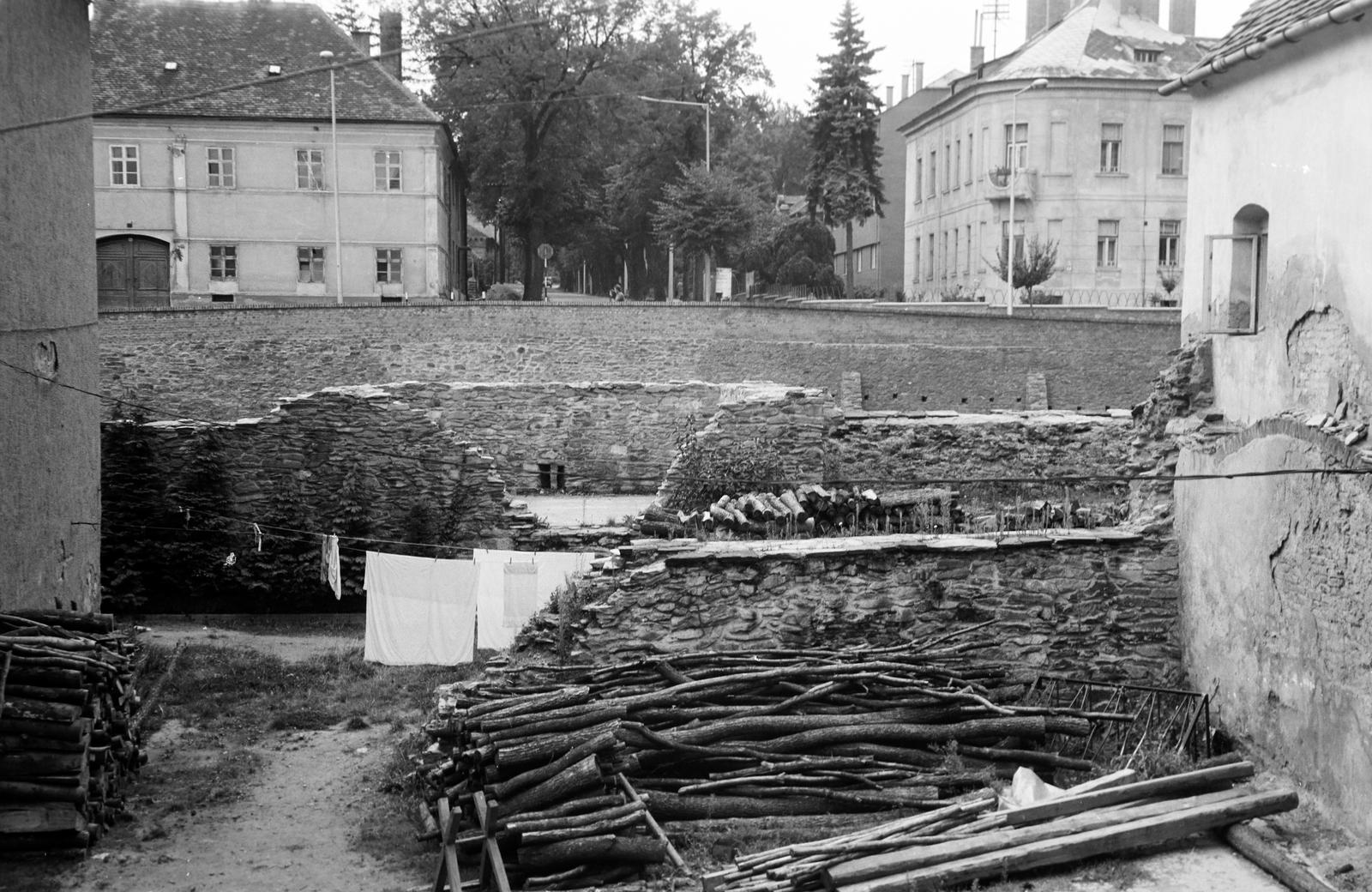 Hungary, 1963, Gazda Anikó, Fortepan #307387