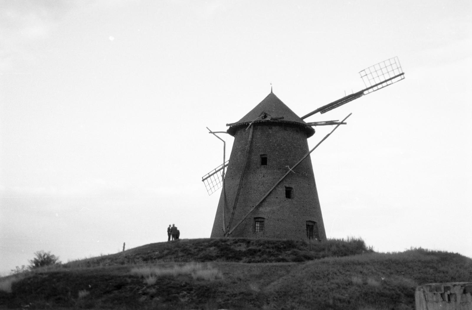 Hungary, 1963, Gazda Anikó, Fortepan #307390