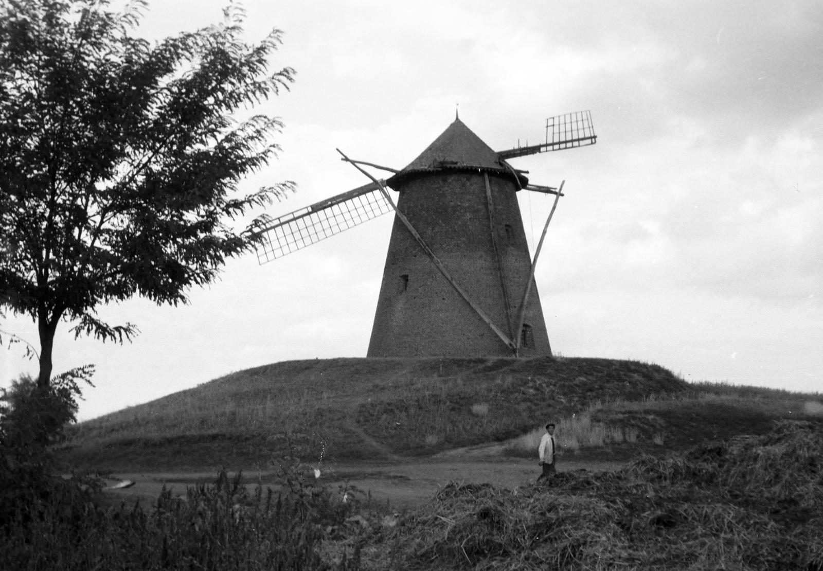 Hungary, 1963, Gazda Anikó, Best of, Mill, Fortepan #307392