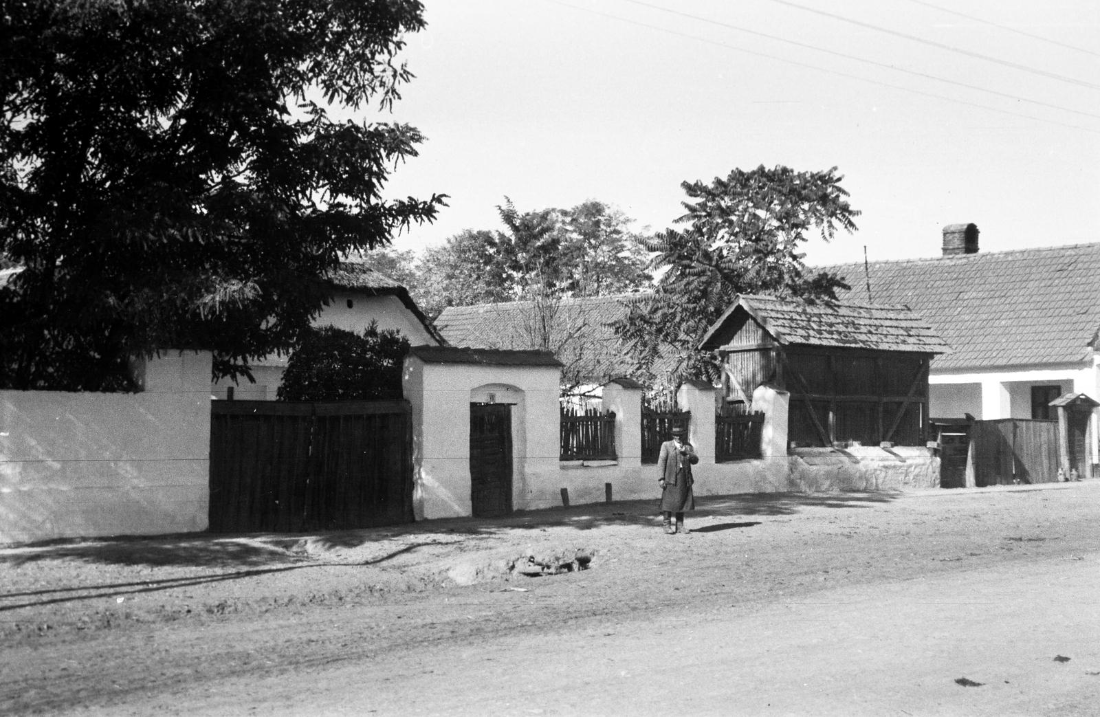 Hungary, 1963, Gazda Anikó, Fortepan #307397