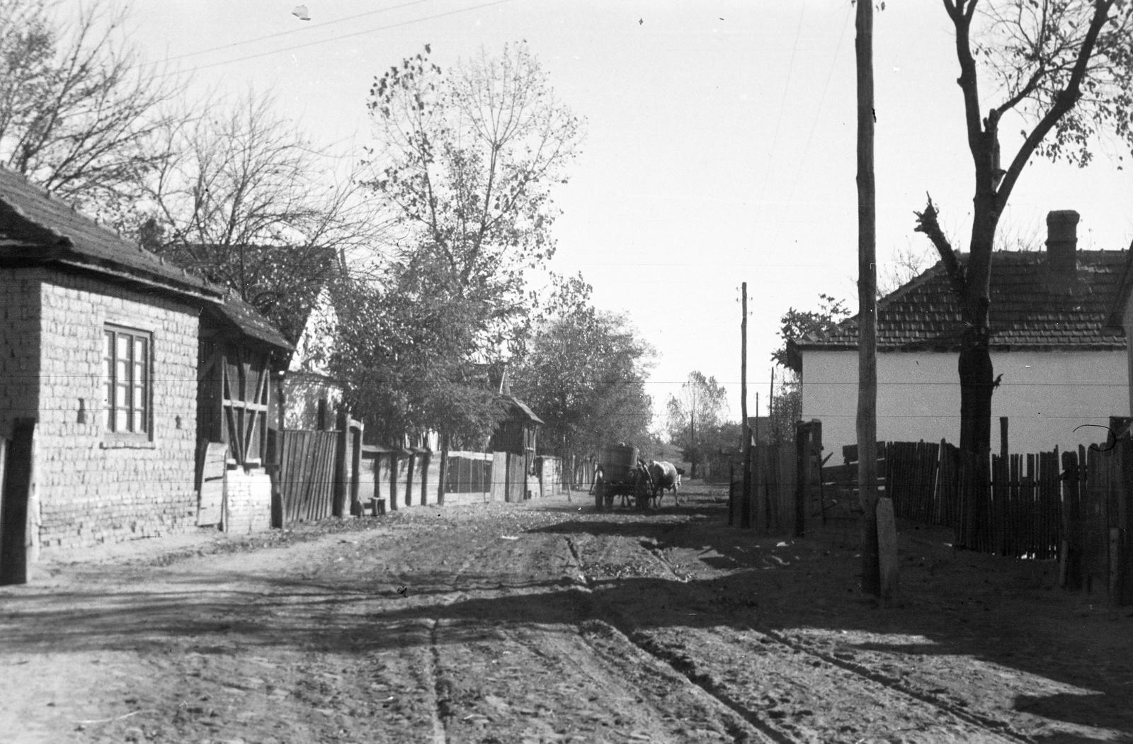 Magyarország, 1963, Gazda Anikó, földút, lóca, Fortepan #307399