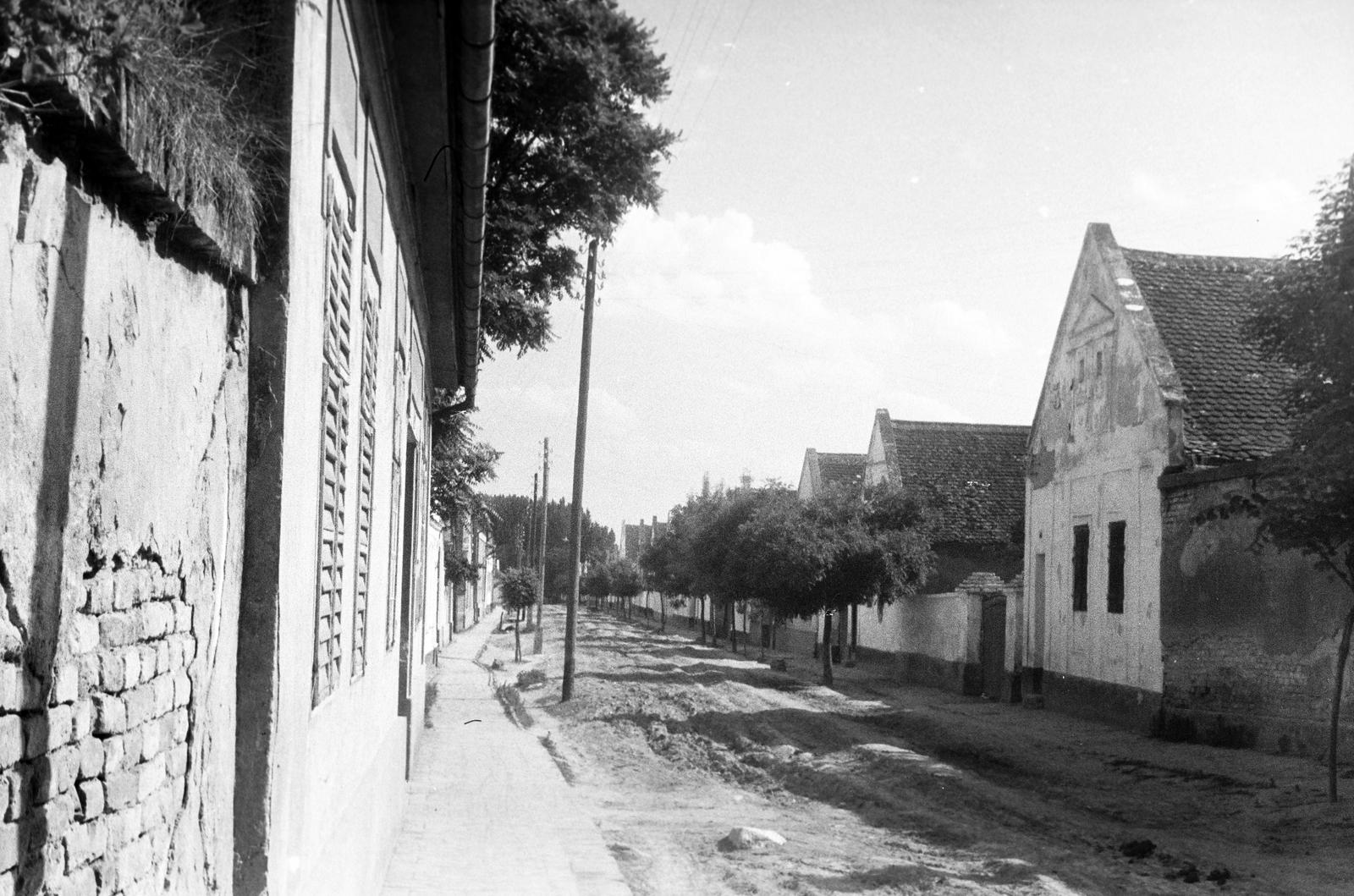 Magyarország, 1958, Gazda Anikó, Fortepan #307405