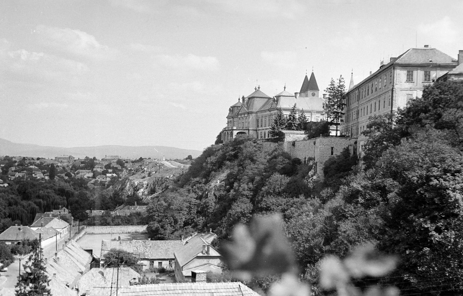 Magyarország, 1962, Gazda Anikó, Fortepan #307413