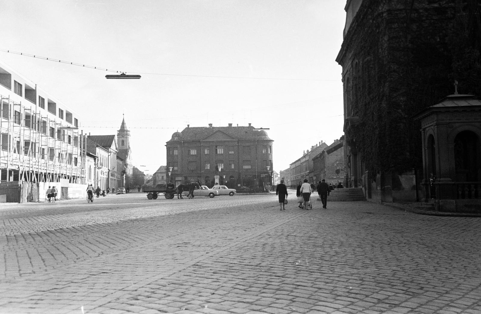 Magyarország, 1962, Gazda Anikó, Fortepan #307418
