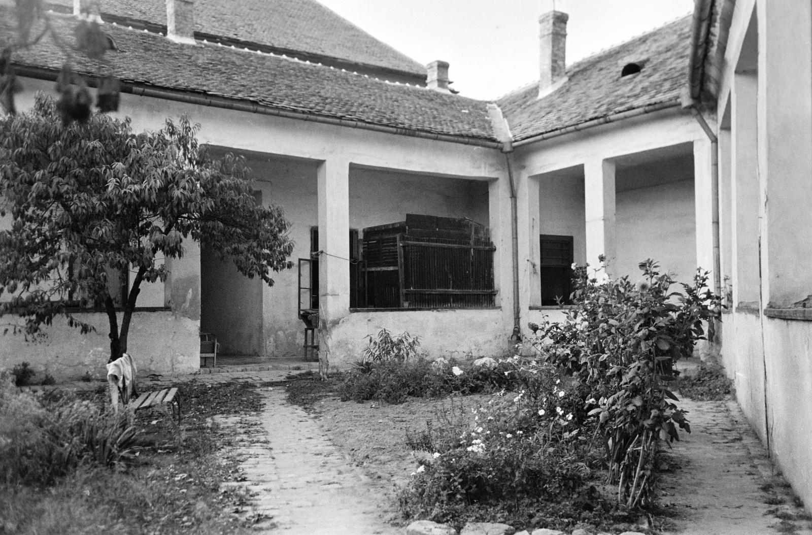 Magyarország, 1962, Gazda Anikó, Fortepan #307425