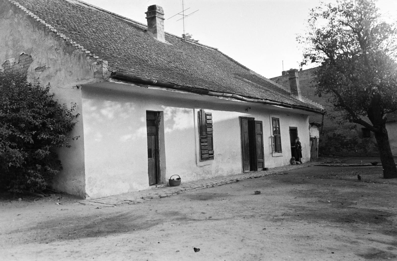 Magyarország, 1962, Gazda Anikó, lakóház, cseréptető, deszka, vakablak, udvar, Fortepan #307426