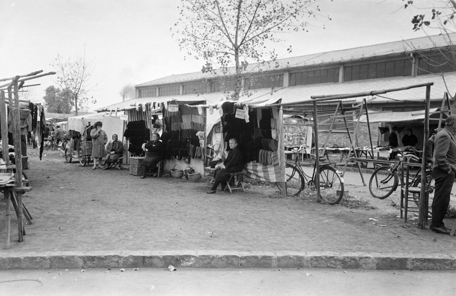 Magyarország, 1967, Gazda Anikó, Fortepan #307428