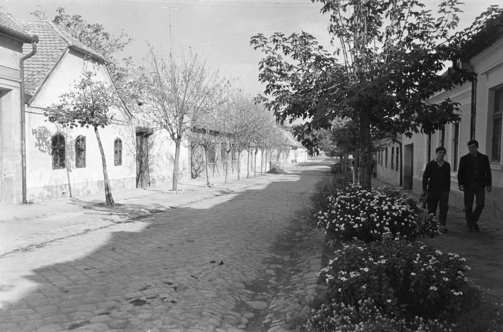 Magyarország, Baja, Alkotmány utca., 1964, Gazda Anikó, Fortepan #307432