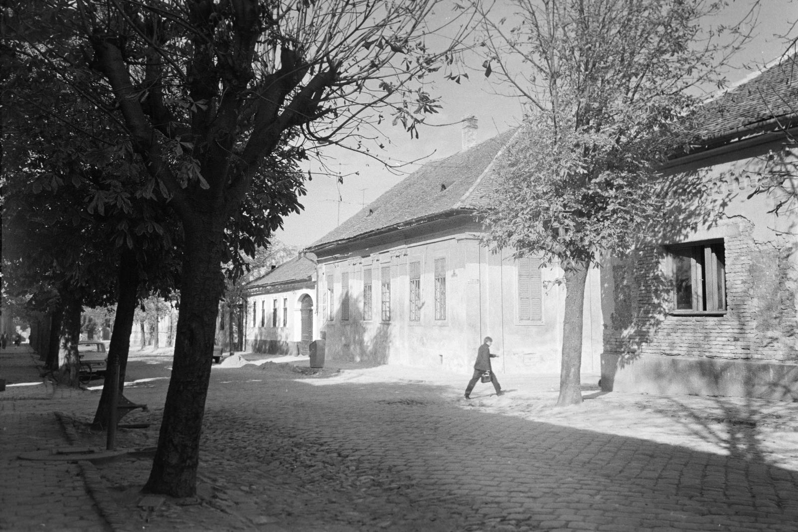 Magyarország, Baja, Szent Antal utca a Batthyány Lajos utca kereszteződésénél., 1964, Gazda Anikó, útkereszteződés, Fortepan #307433