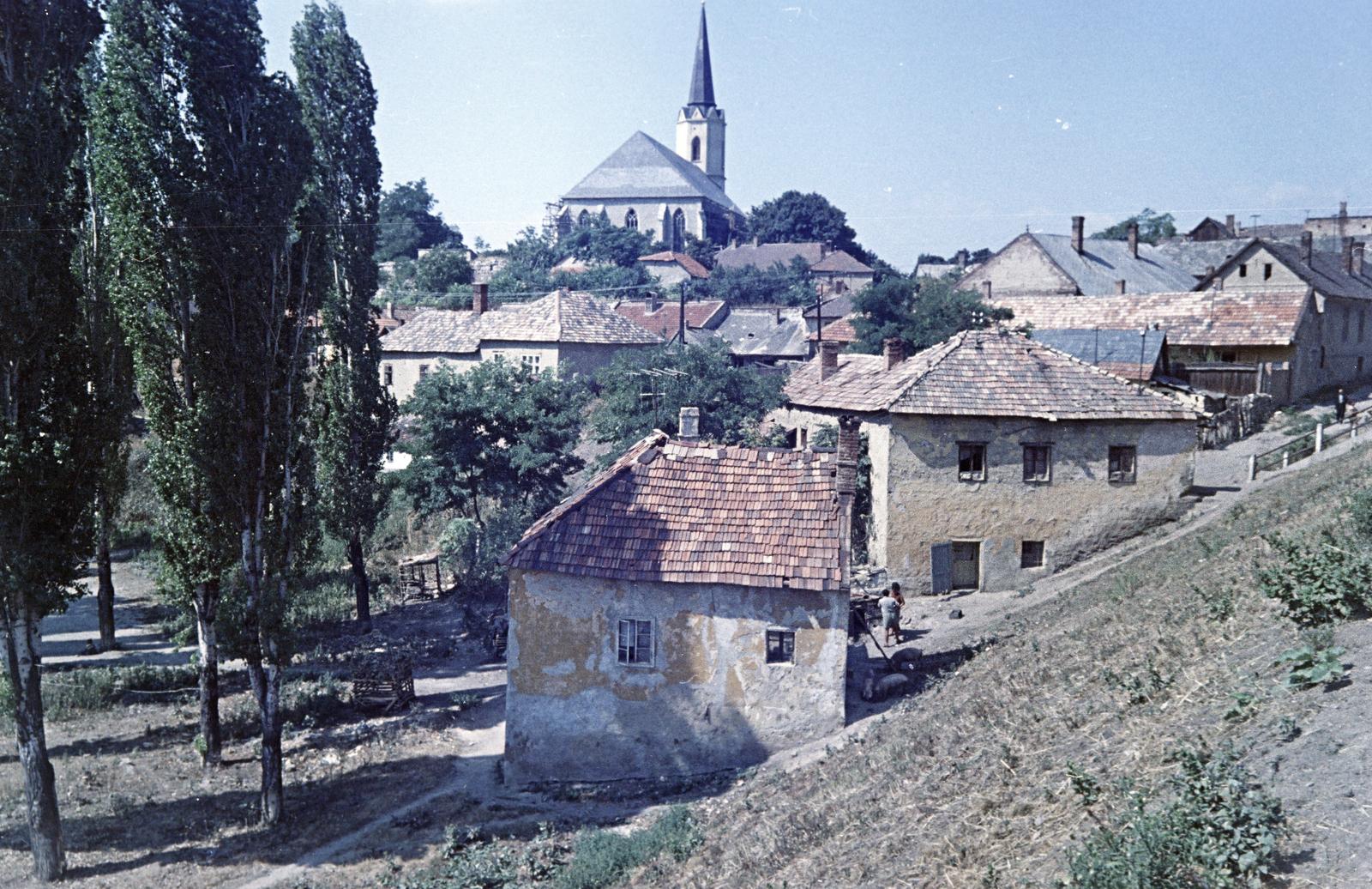 Magyarország, 1965, Gazda Anikó, Fortepan #307486