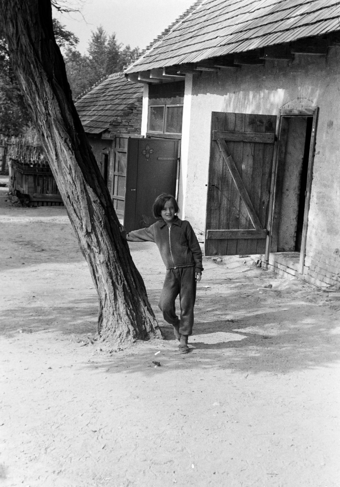 Hungary, 1965, Gazda Anikó, Fortepan #307487