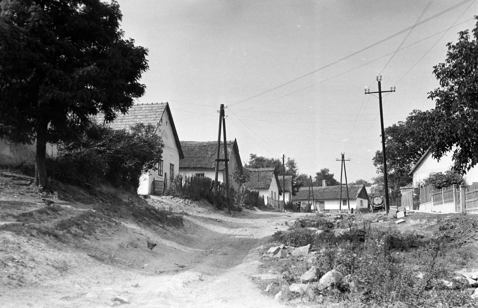Hungary, 1965, Gazda Anikó, Fortepan #307488