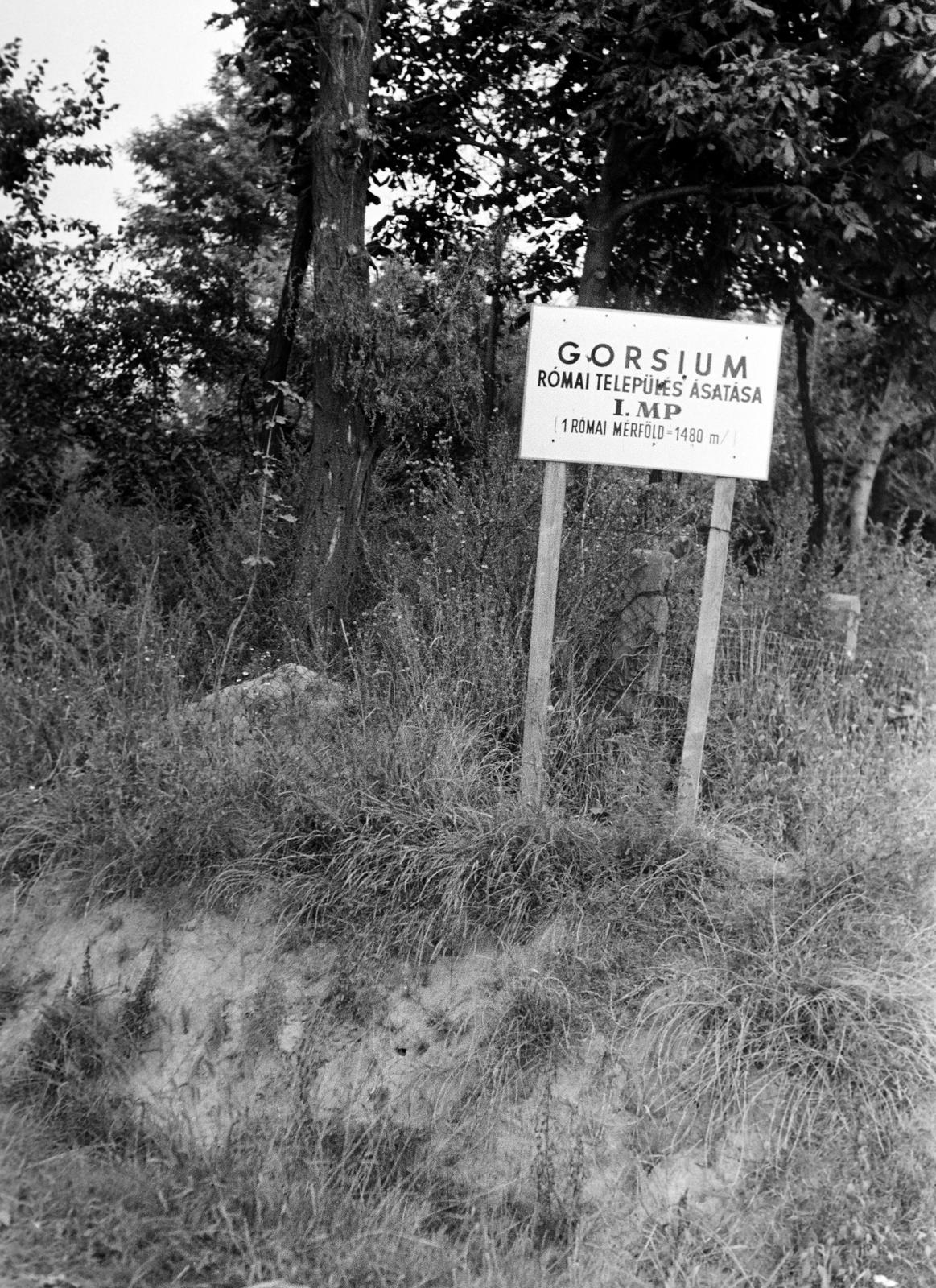 Magyarország, 1965, Gazda Anikó, Fortepan #307492