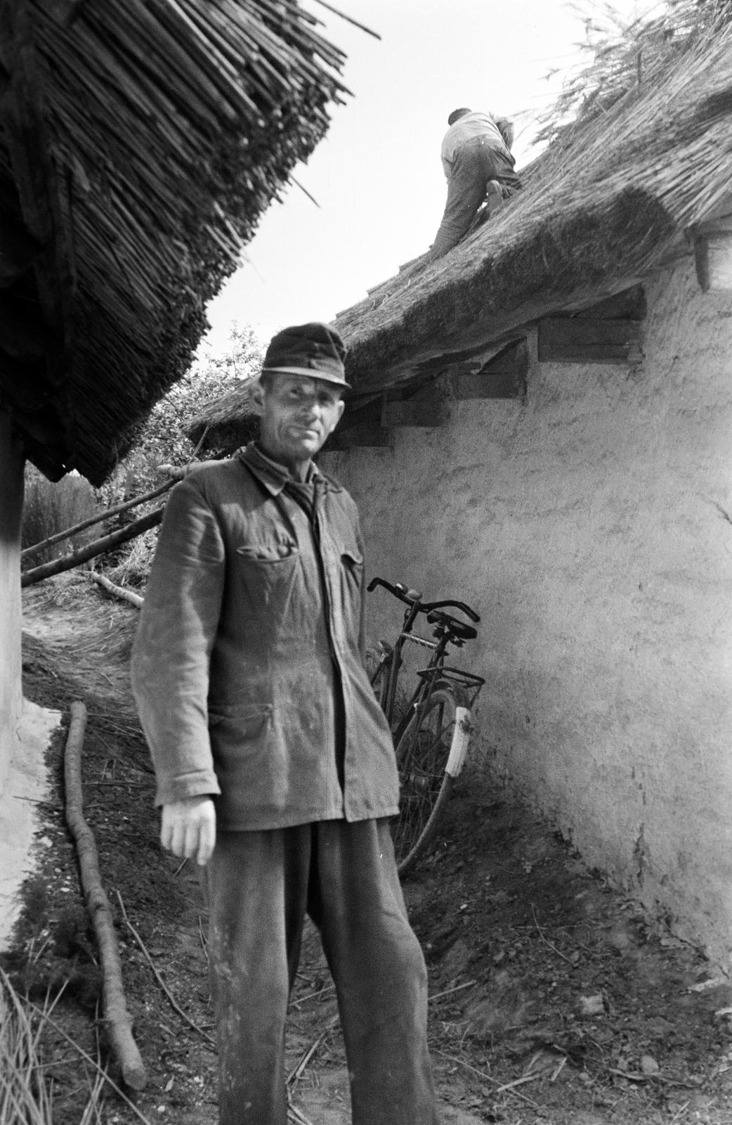 Magyarország, 1965, Gazda Anikó, Fortepan #307493