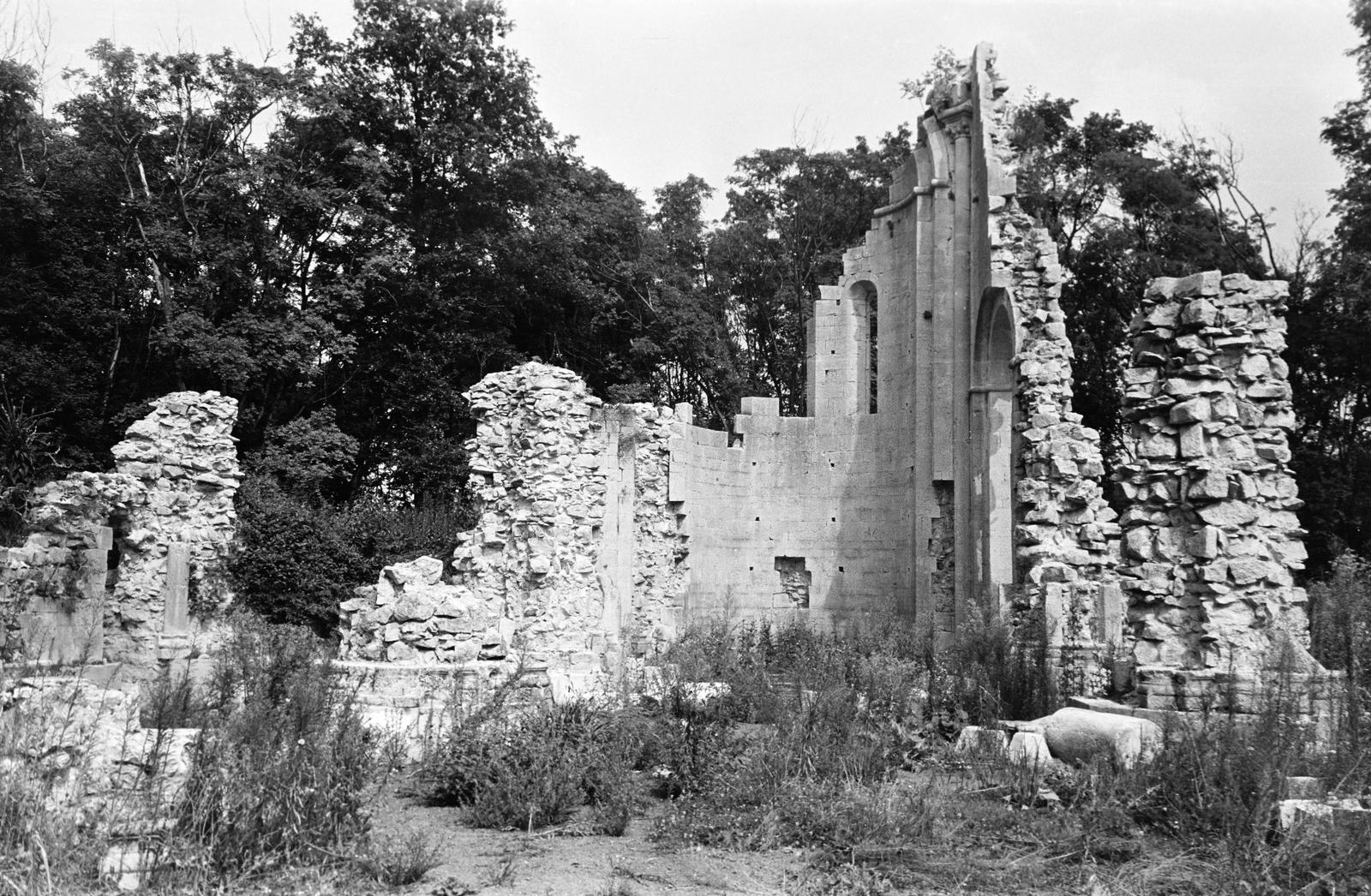 Magyarország, Oroszlány,Vértesszentkereszt, a bencés apátság és az apátsági templom romjai., 1960, Gazda Anikó, rom, templomrom, Fortepan #307502