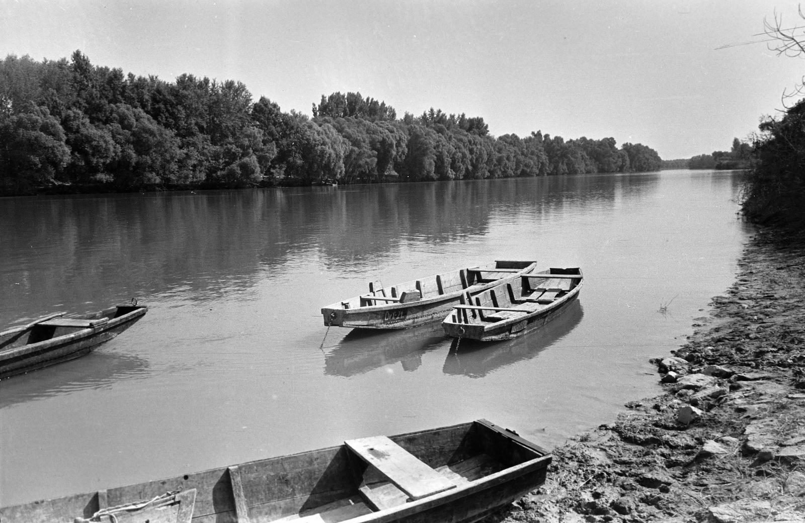 Hungary, 1960, Gazda Anikó, shore, pinnace, shore, river, boat, barge, Fortepan #307504