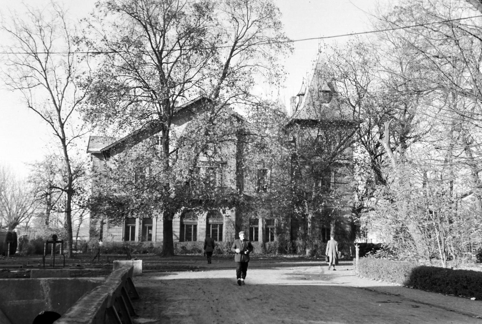 Magyarország, 1960, Gazda Anikó, Fortepan #307510