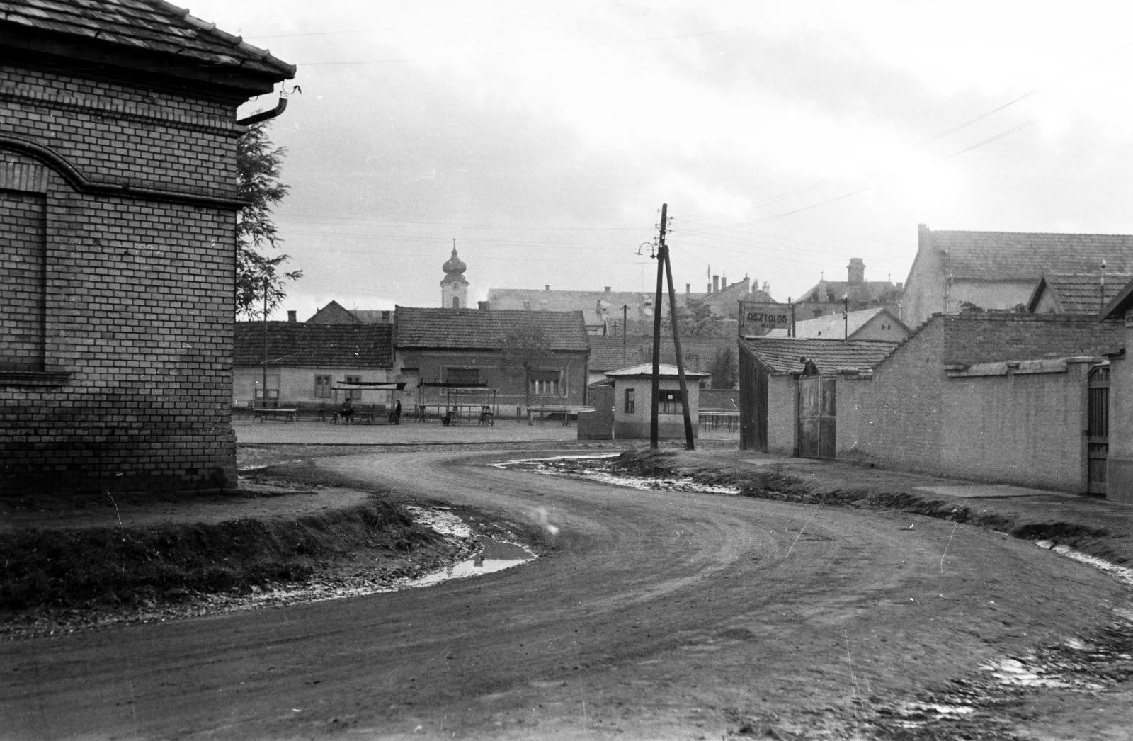 Magyarország, 1960, Gazda Anikó, Fortepan #307511