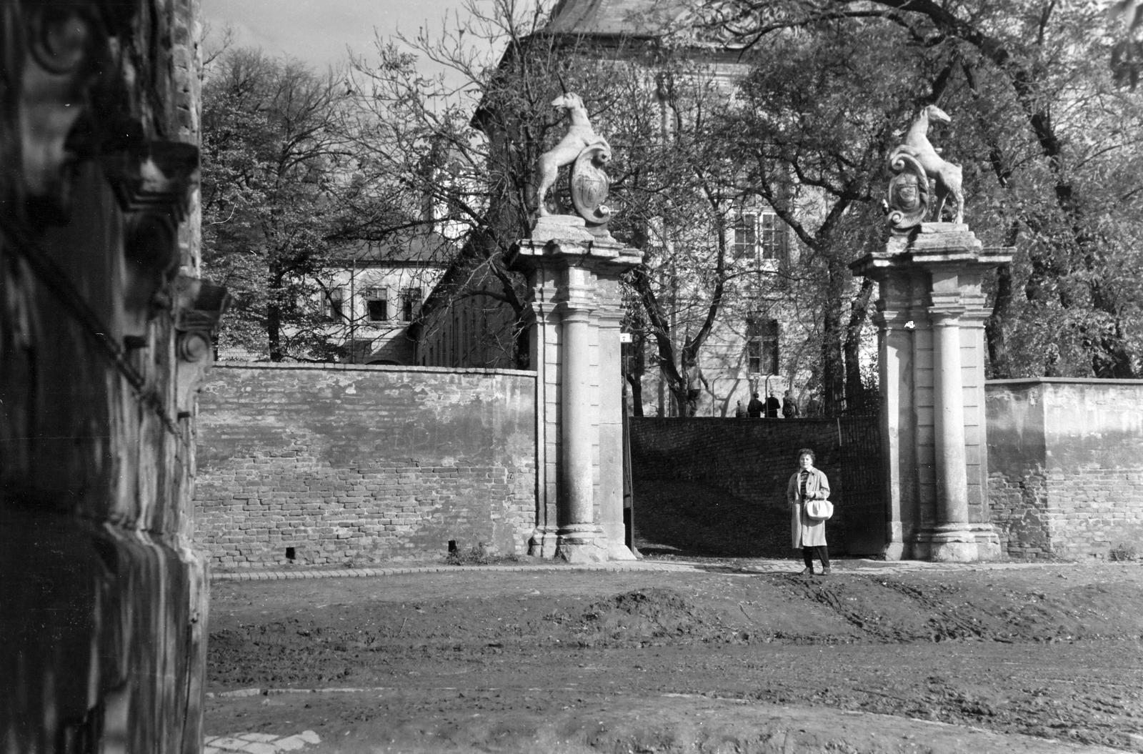 Magyarország, 1960, Gazda Anikó, Fortepan #307514