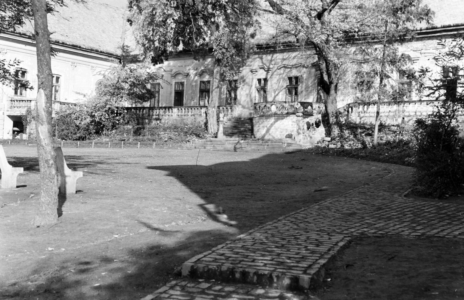 Magyarország, 1960, Gazda Anikó, Fortepan #307515