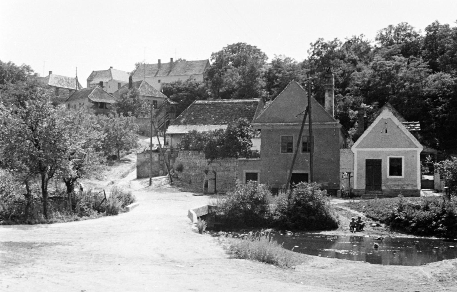 Hungary, 1963, Gazda Anikó, Fortepan #307519