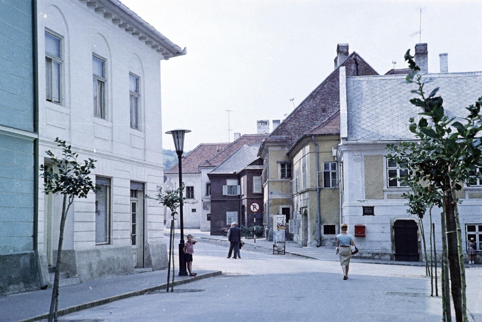 Magyarország, Kőszeg, Rajnis utca, jobbra a Táblaház (Schätzel Frigyes) utca., 1963, Gazda Anikó, színes, facsemete, Fortepan #307522