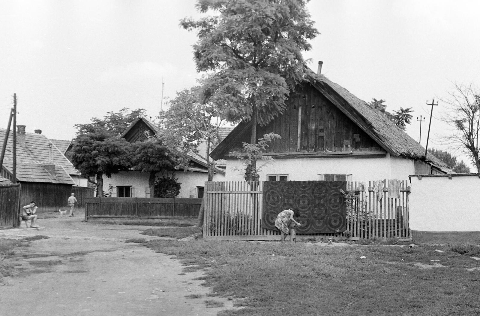 Magyarország, 1972, Gazda Anikó, Fortepan #307525
