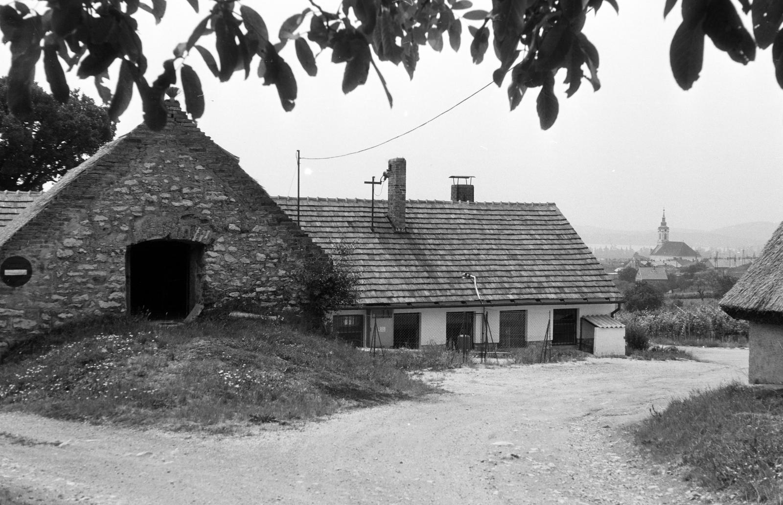 Magyarország, 1972, Gazda Anikó, Fortepan #307526