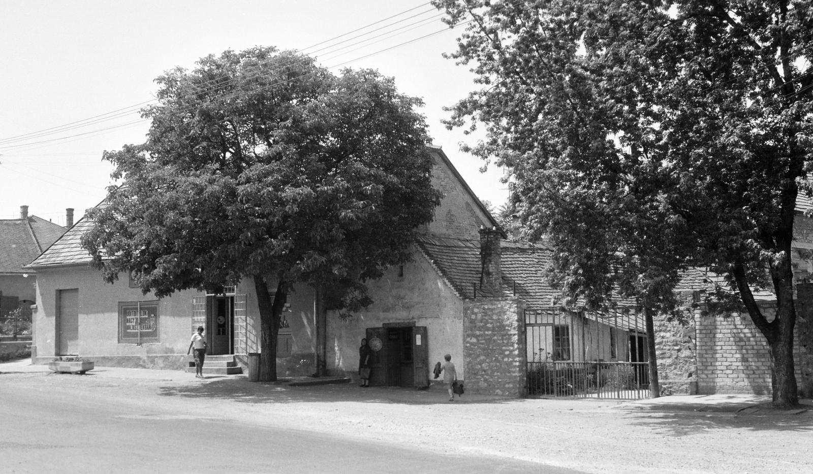Magyarország, 1978, Gazda Anikó, Fortepan #307538