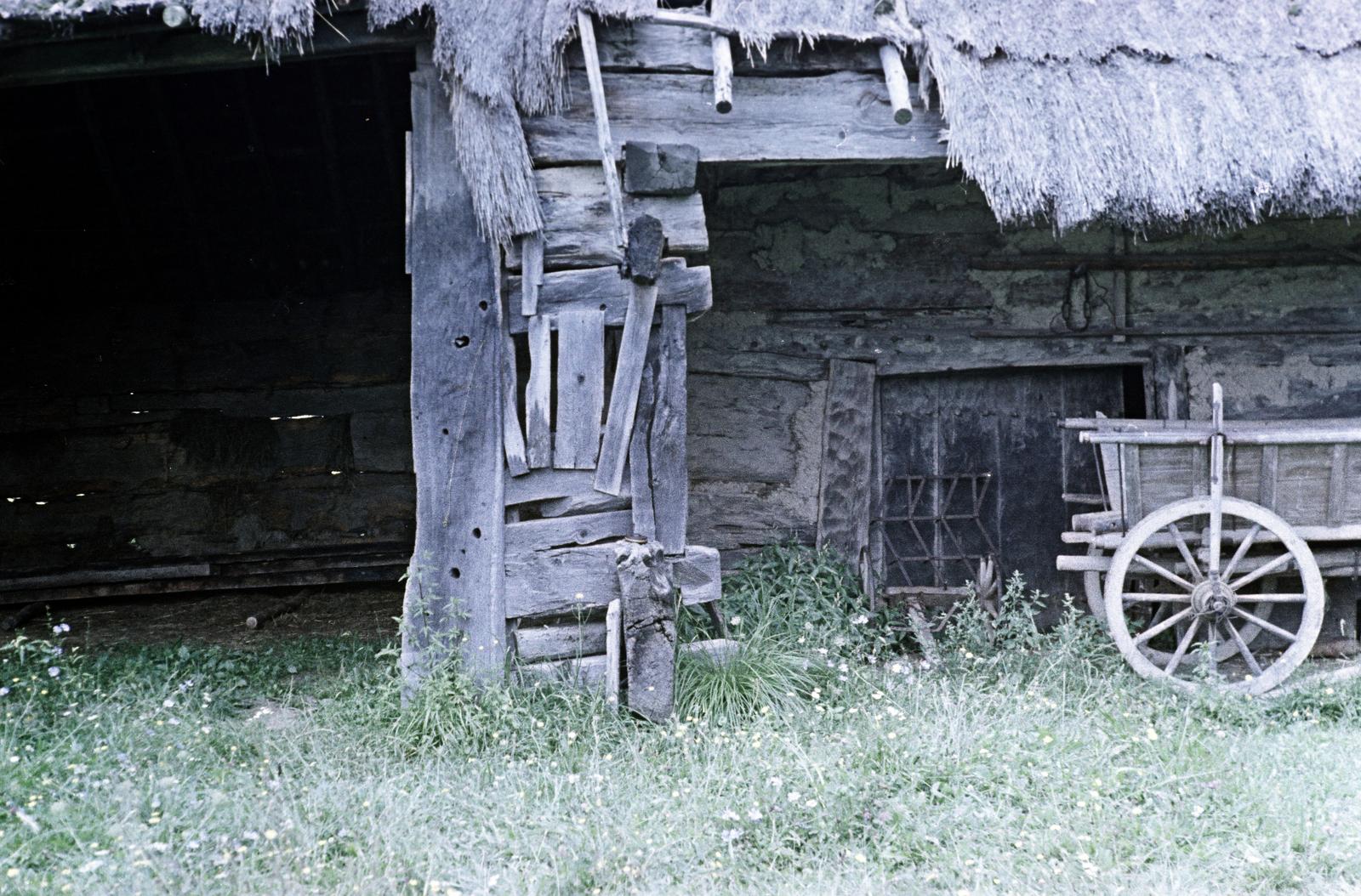 Hungary, 1959, Gazda Anikó, colorful, vernacular architecture, thatch roof, chariot, Fortepan #307542