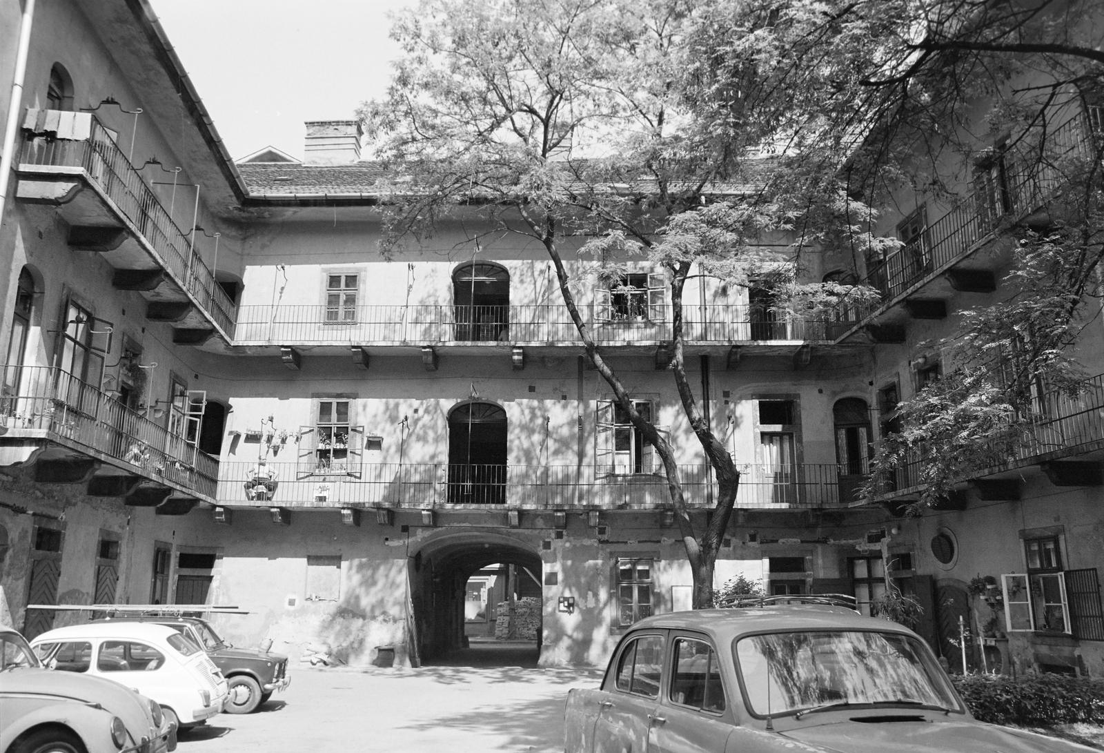 Hungary, 1974, Gazda Anikó, Fortepan #307559